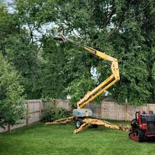 Riverdale, CA Tree Care Company
